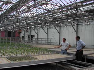 Figure 2. Ebb and Flow benches used for seedling propagation