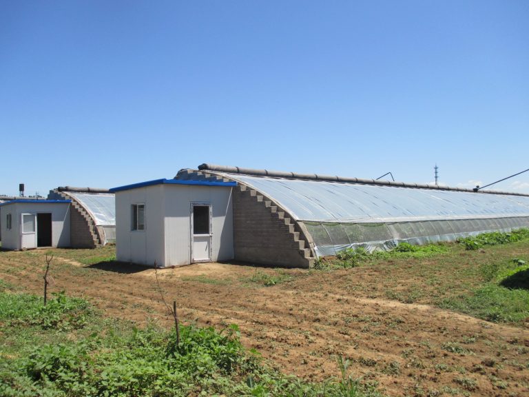 Chinesestyle Solar Greenhouses Purdue University Vegetable Crops Hotline