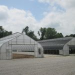 Figure 1. A 30% black shade cloth was added to one of the high tunnels