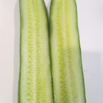 Figure 2. A seedless cucumber
