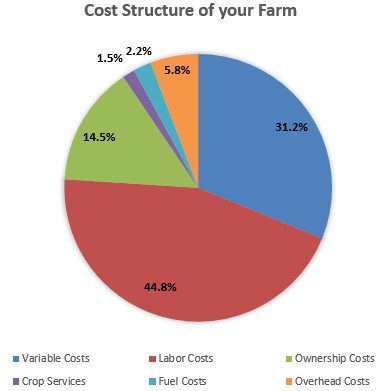 cost structure analysis