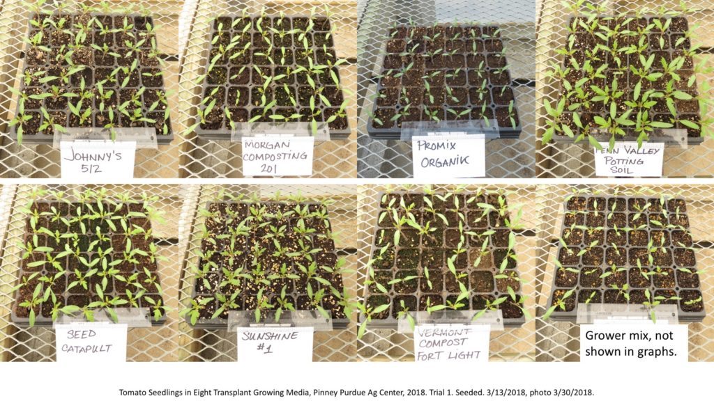 Tomato seedlings at Pinney Purdue, 2018, trial 1, 3/30/2018.