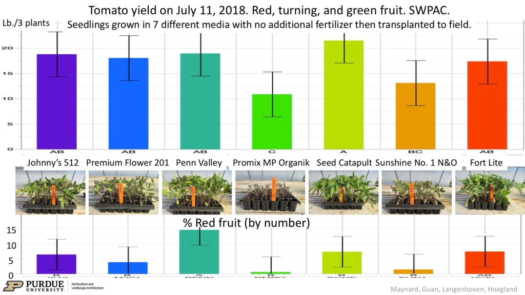 Figure 1. Early tomato fruit harvest and percent of fruit that are red from plants grown in seven different growing media and then transplanted to the field with no additional fertilizer. Yield in lb./3 plants includes all red, green, and turning fruit on plants. Bars with labeled with the same letter do not differ significantly based on Fisher's protected LSD. Error bars represent ± 95% confidence interval. Photos by W. Guan.
