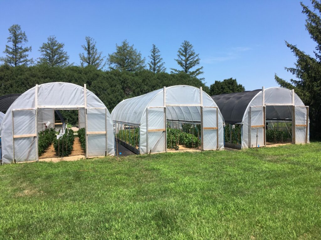 Using Shadecloth on High Tunnels for Tomato and Colored Bell Pepper