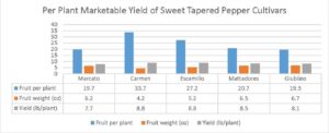 Figure 4. Marketable yield of colored sweet tapered pepper cultivars.