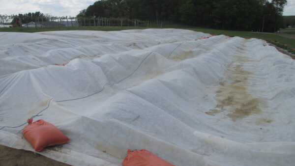 Applying Row Covers for Winter Protection in Plasticulture Strawberry Production
