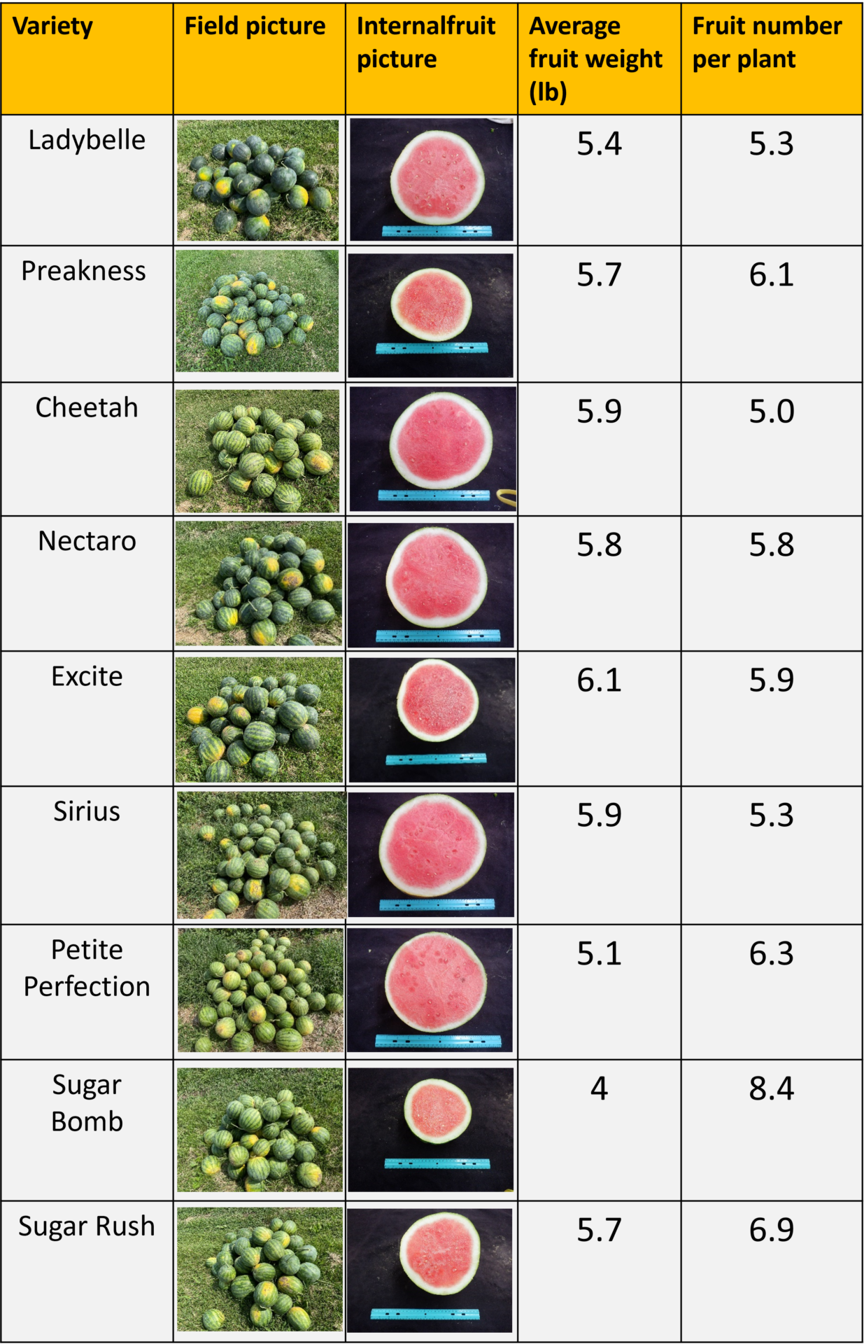 Types on sale of watermelon