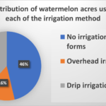 Figure 1. Distribution of watermelon acres using the three irrigation methods in Indiana: No irrigation in any forms, overhead irrigation, drip irrigation.