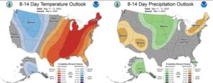  8-14 day temperature (left) and precipitation (right) outlooks from the Climate Prediction Center.
