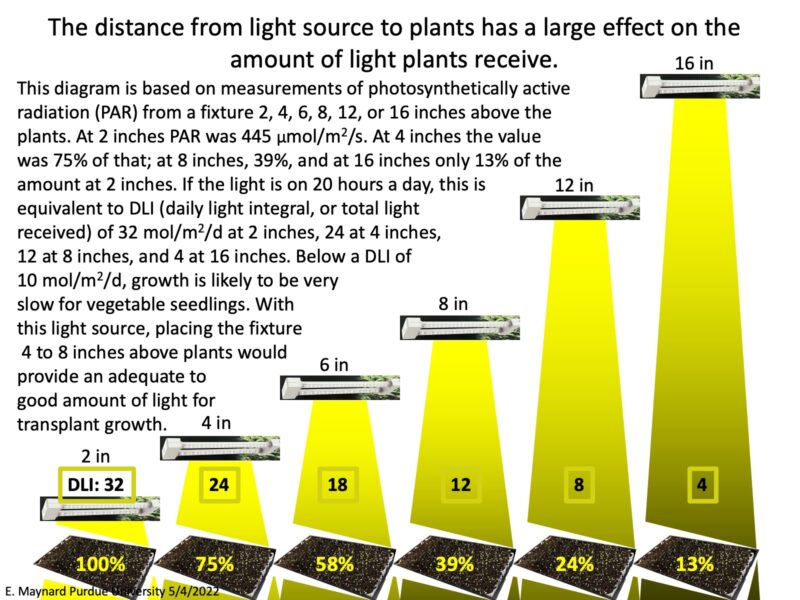 How Distance from Light Fixtures Influences Light Level for Seedlings