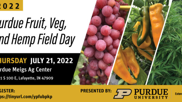 Purdue Fruit, Veg & Hemp Field Day July 21  