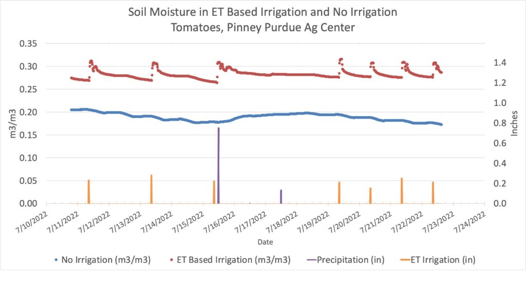 Soil moisture measured by electronic sensors at 12 inch depth in tomato plots irrigated based on evapotranspiration (Et-based) or not irrigated, and daily precipitation and irrigation. Pinney Purdue Ag Center, July 11-22, 2022.