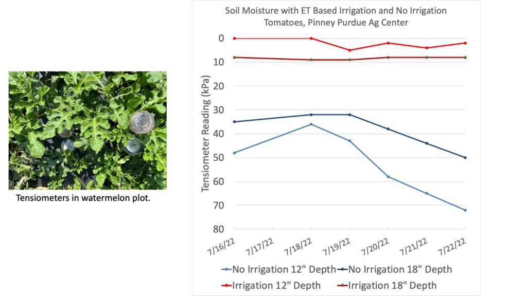  Soil moisture measured by tensiometers at 12 and 18 inch depths in tomato plots irrigated based on evapotranspiration (Et-based) or not irrigated. Pinney Purdue Ag Center, July 16-22, 2022.
