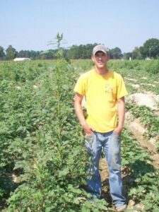 The author stands next to a Palmer amaranth plant in a sweetpotato field, circa 2008.