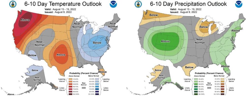 Warm Temperatures and Rain Dominate Early August with Cooler Weather ...