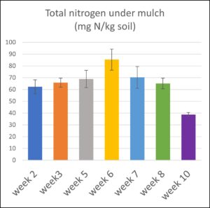 Figure 2. Soil inorganic nitrogen content in the plastic mulch-covered beds during the 2021 watermelon season. 150 lb N/acre as urea was broadcast before building the beds and laying plastic mulch. 