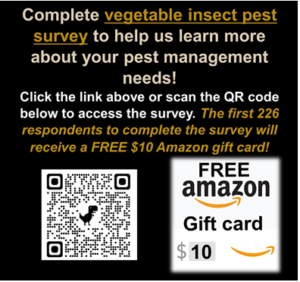 Insect pest survey 