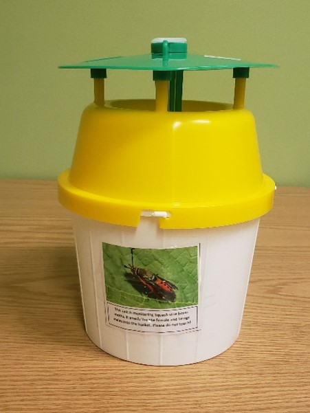 Wholesale Bug Traps for Pest Control for Commercial Growers - MORR