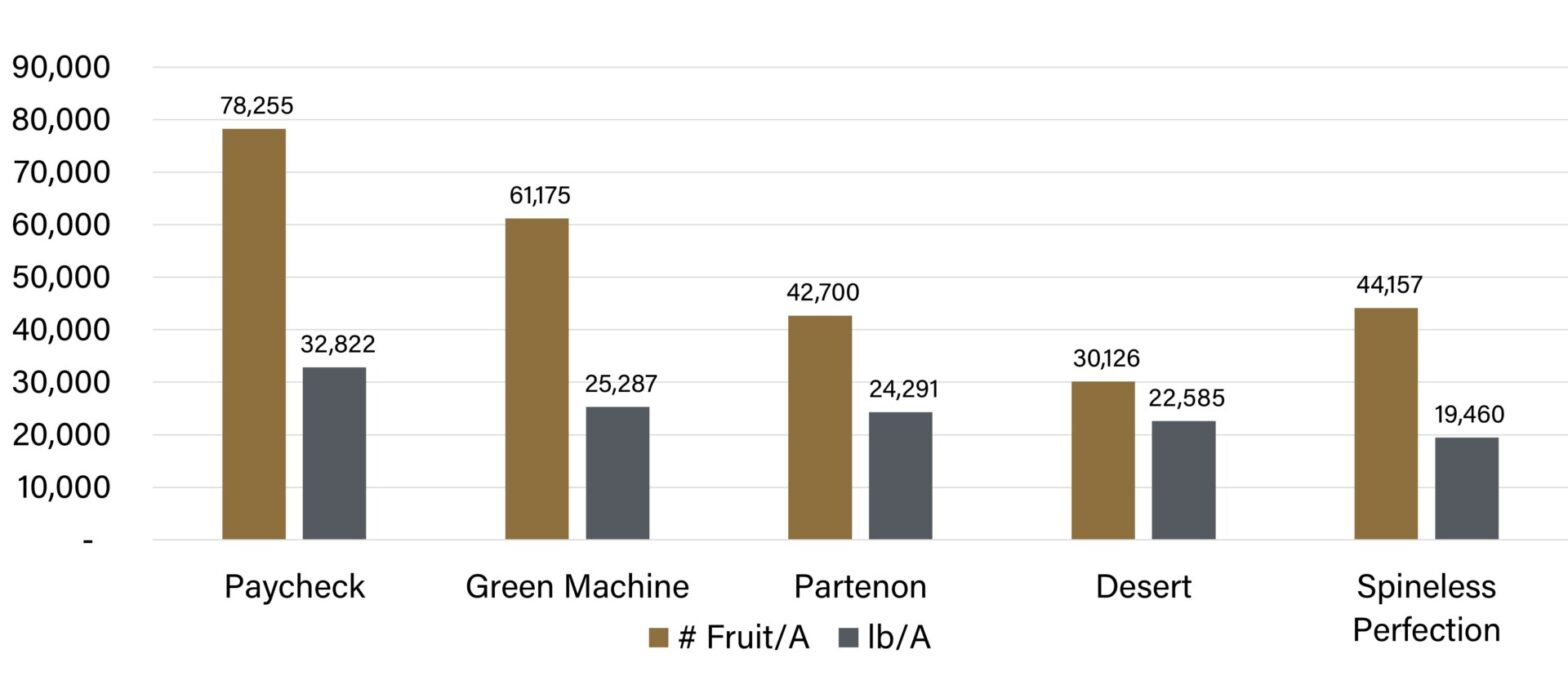 Planning on Growing Summer Squash this Summer? Purdue University
