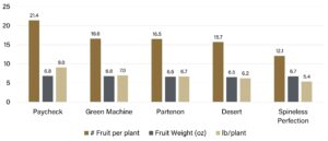 Marketable yield (per plant) of green zucchini varieties