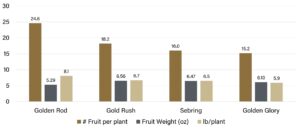 Marketable yield (per plant) of yellow zucchini varieties
