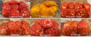 Sliced-tomato-300x127.jpg