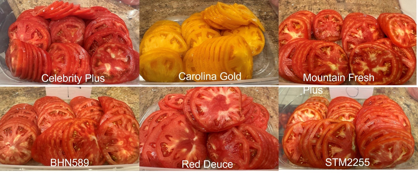 Considerations for Choosing Tomato Cultivars | Purdue University
