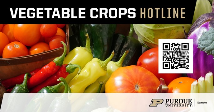 Vegetable Crops Hotline Newsletter Survey Purdue University Vegetable