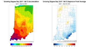 Figure 2. Total Accumulated Indiana Modified Growing Degree Days (MGDDs) April 1-May 30, 2023 (left) and Total Accumulated MGDDs represented as the departure from the 1991-2020 climatological normal (right). 