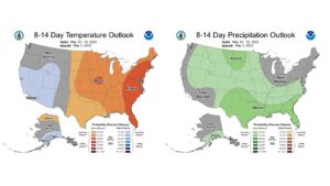 8-14 day temperature and precipitation