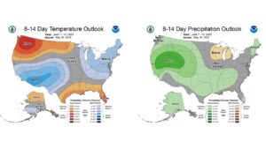 Figure 9. The CPC’s 8–14-day temperature and precipitation outlooks, valid for June 7 through June 13, 2023.