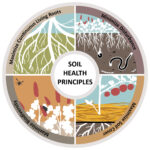 Four Soil Health Principles