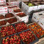Lettuce, tomato and strawberry sold at auction
