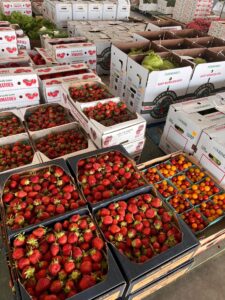 Lettuce, tomato and strawberry sold at auction