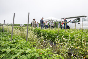 Langenhoven and Shoaf talk about soil health and pepper production