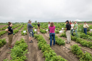 Cerritos talk about weed management in potatoes