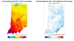 Figure 2. Total Accumulated Indiana Modified Growing Degree Days (MGDDs) April 1-August 23, 2023 (left) and Total Accumulated MGDDs represented as the departure from the 1991-2020 climatological normal (right). 