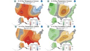 Figure 5. CPC 6-10 day temperature and precipitation outlooks for the United States, valid August 29-September 2, 2023 (top). CPC 8-14 day temperature and precipitation outlooks for the United States, valid August 31-September 6, 2023 (bottom).