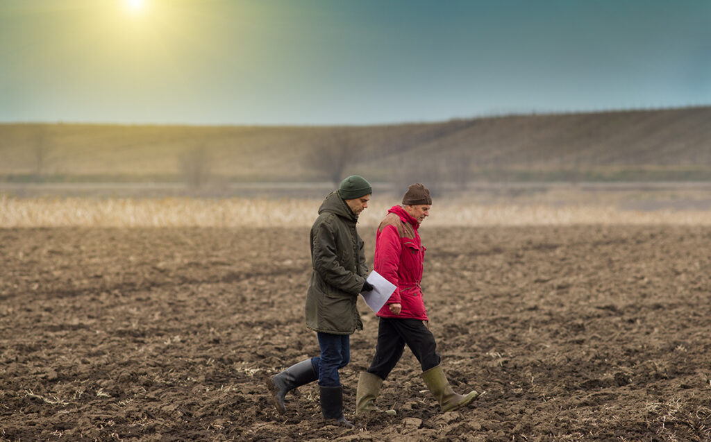 Men walking in a wheat field