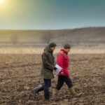 Men walking in a wheat field