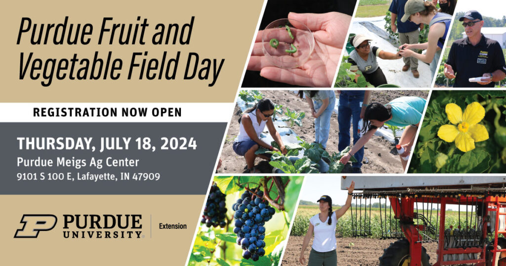 Purdue Fruit and Vegetable Field Day-July 18, 2024