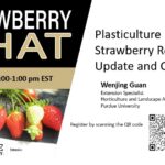 Strawberry-Chat-Video Thumbnail