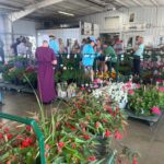 Clearspring Produce Auction