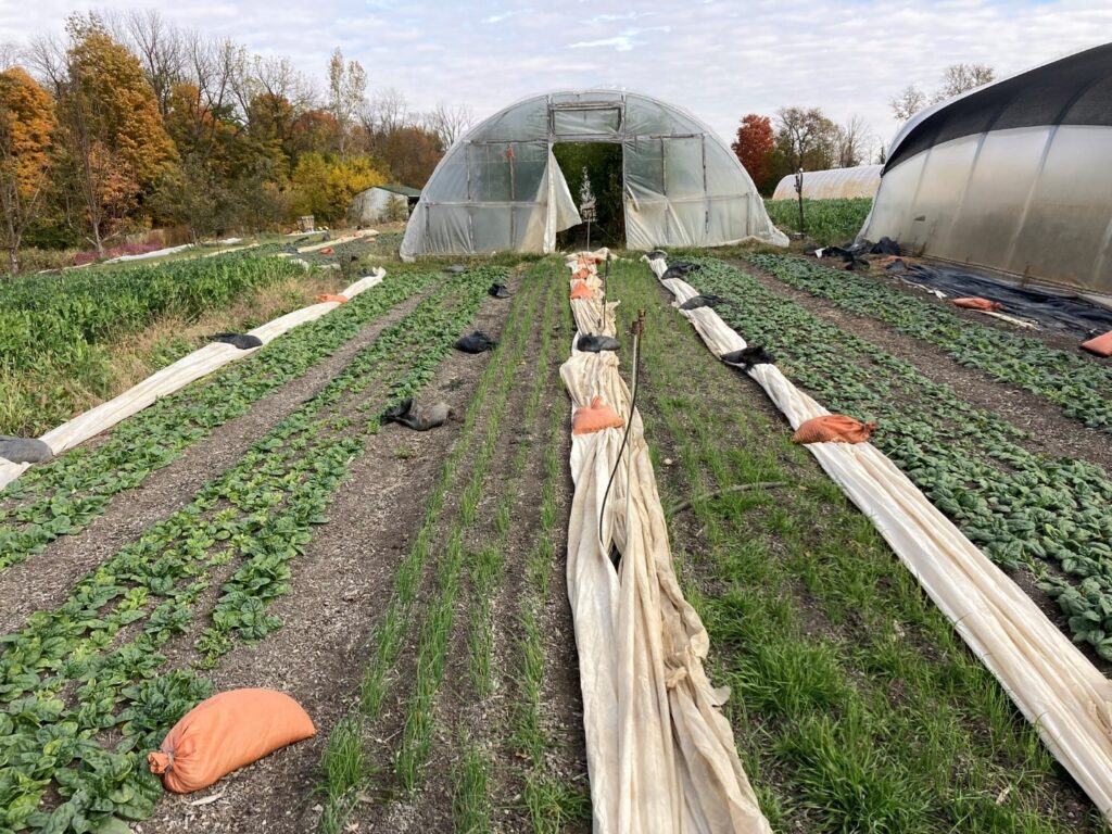 Figure 3. High tunnels provide several benefits to crop production, including a physical barrier for pests and crop insulation (Photo by Samantha Willden).