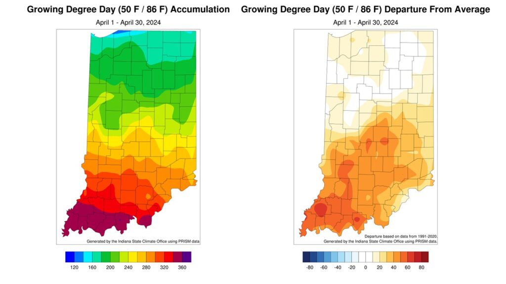 Figure 2: Left – Indiana Growing Degree Day accumulations for April 2024. Right – Indiana’s April 2024 Growing Degree Days represented as the departure from the 1991-2020 climatological average.