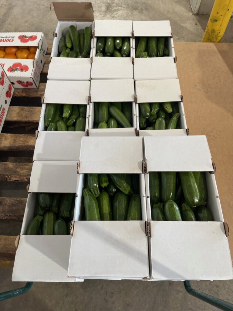 Figure 3. Summer squash sold at Clearspring Produce Auction (Photo by Jeff Burbrink).