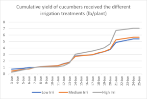 Figure 5. Cumulative yields of cucumber plant received the different amount of irrigation. 