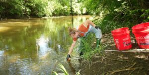 Student collecting a surface water sample for microbial testing