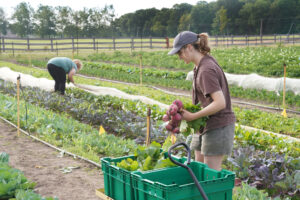 Workers at the Purdue Student Farm