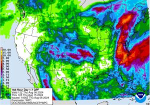 Figure 3. Accumulated precipitation forecast for August 8-15, 2024.